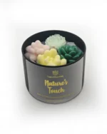 Nature's Touch Soy Wax Candle